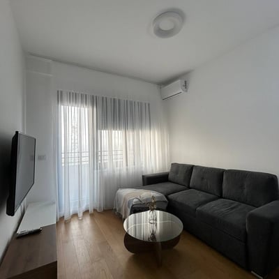 Rent of a furnished 2-room apartment, 45 m², New Belgrade, Serbia
